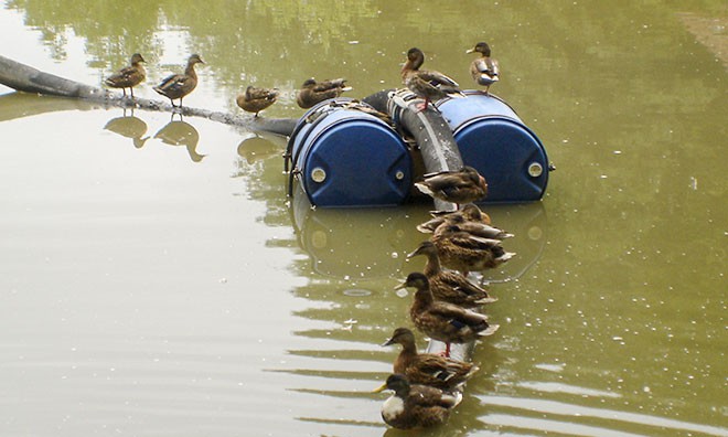 Umweltschonender gehts nicht! Umweltschonender gehts nicht!